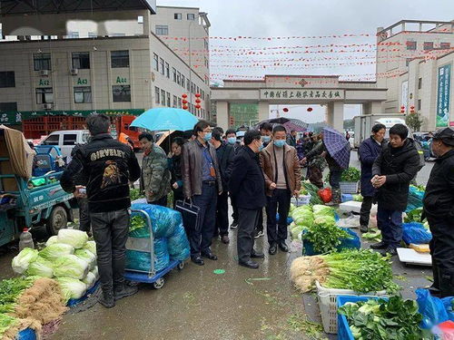 春節期間食用農產品質量安全專項執法行動全面展開，筑牢群眾“菜籃子”安全防線