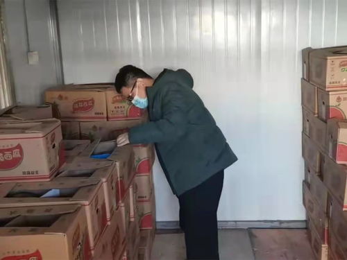 衡水推進食用農產品批發市場規范化建設，守護市民“菜籃子”安全